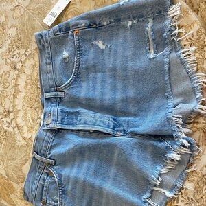 NWT AGOLDE  Light Blue Denim Shorts - Women